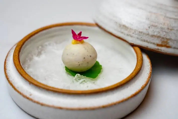 Cleanser - Watermelon Mojito